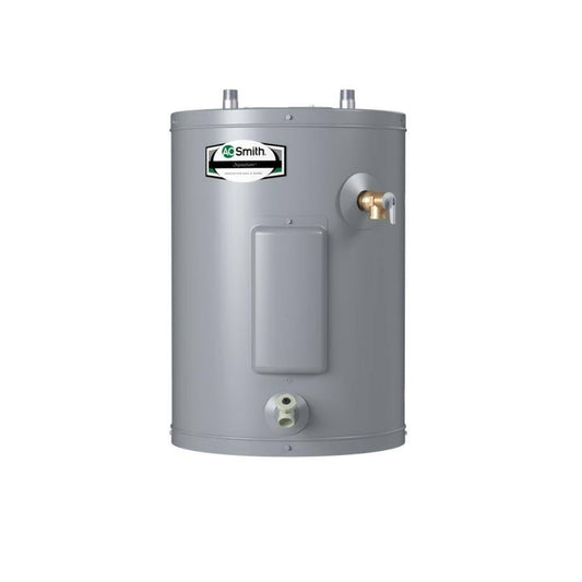 A.O. Smith Signature 100 19-Gallon Compact 6-Year Limited Warranty 1500-Watt 1 Element Point Of Use Electric Water Heater | E6-19c15sv