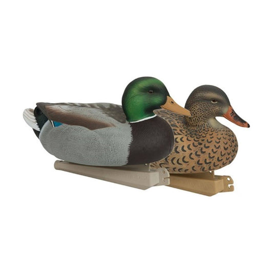 Avery Essential Series Mallard 12 Pack